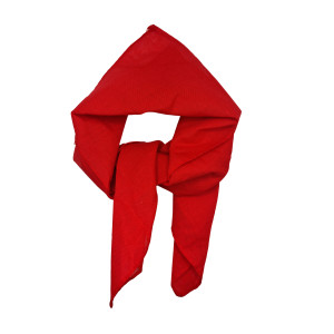 LENÇO VERMELHO LENÇO VERMELHO