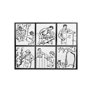 SERRA DE SOBREVIVÊNCIA