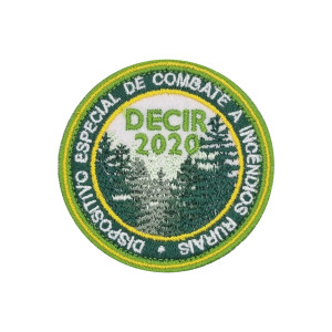 EMBLEMA CURSO DECIR 2020