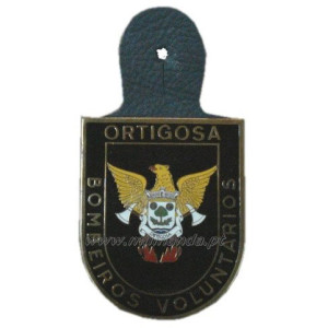 CRACHÁ BOMBEIRO BRASFEMES 