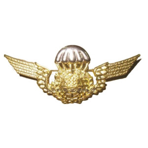 EMBLEMA BREVET PARAQUEDISTA EMBLEMA BREVET PARAQUEDISTA