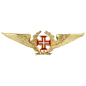 EMBLEMA BREVÊ AVIADOR CIVIL (ANAC)