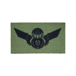 EMBLEMA ABORRACHADO PARAQUEDISTA  EMBLEMA ABORRACHADO PARAQUEDISTA