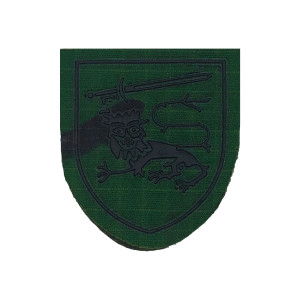 EMBLEMA ABORRACHADO -CENTRO INSTRUÇÃO OPERAÇÕES ESPECIAIS EMBLEMA ABORRACHADO -CENTRO INSTRUÇÃO OPERAÇÕES ESPECIAIS