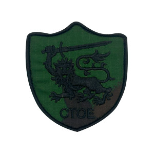 EMBLEMA BORDADO CTOE