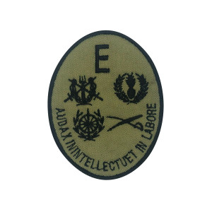 EMBLEMA BORDADO - ESCOLA DOS SERVIÇOS
