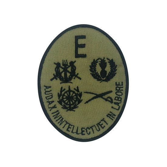 EMBLEMA BORDADO - ESCOLA DOS SERVIÇOS