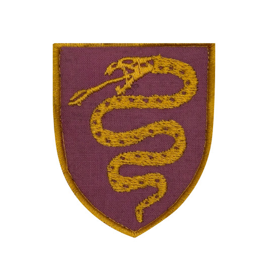 EMBLEMA BORDADO- DIREÇÃO DO SERVIÇO DE SAÚDE