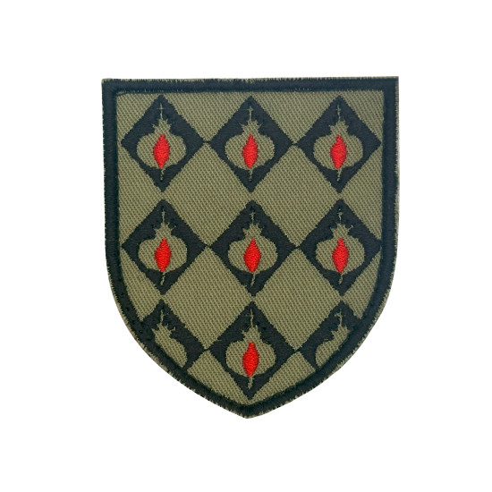 EMBLEMA BORDADO - HOSPITAL MILITAR REGIONAL 4