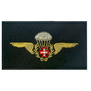 EMBLEMA BORDADO PARAQUEDISTA CIVIL EMBLEMA BORDADO PARAQUEDISTA CIVIL