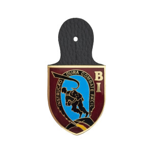  CRACHÁ BI PARAQUEDISTAS