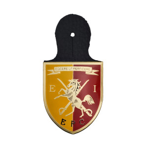 CRACHÁ ESQUADRÃO DE INSTRUÇÃO DA EPC CRACHÁ ESQUADRÃO DE INSTRUÇÃO DA EPC