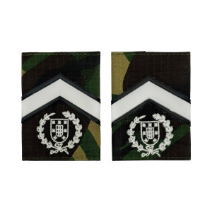 PASSADORES SARGENTE CHEFE EXÉRCITO PASSADORES SARGENTE CHEFE EXÉRCITO