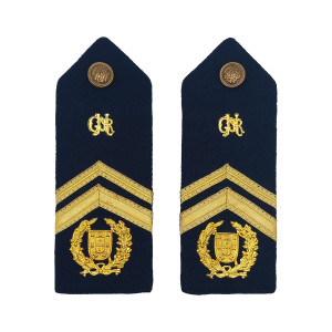 PLATINAS SARGENTO MOR GNR