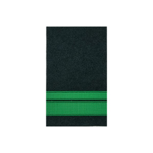 DIVISA GNR GUARDA PRINCIPAL