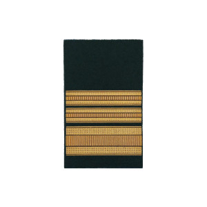 DIVISA GNR TENENTE CORONEL