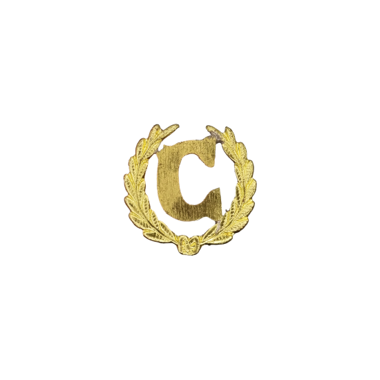 EMBLEMA MILITAR CADETE