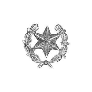 EMBLEMA ESTRELA/LOUROS- ESCOLA DE CADETES EMBLEMA ESTRELA/LOUROS- ESCOLA DE CADETES