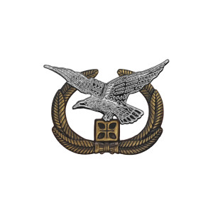 EMBLEMA BOINA FORÇA AÉREA EMBLEMA BOINA FORÇA AÉREA