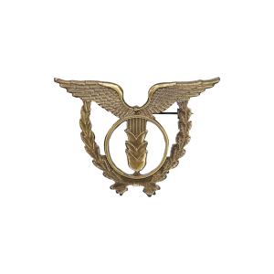 EMBLEMA ESPECIALIDADE FORÇA AÉREA - ADMINISTRAÇÃO AERONAÚTICA EMBLEMA ESPECIALIDADE FORÇA AÉREA - ADMINISTRAÇÃO AERONAÚTICA