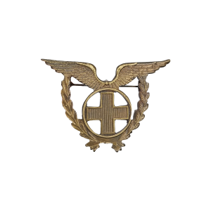 EMBLEMA ESPECIALIDADE FORÇA AÉREA -TÉCNICO DE SAÚDE E SERVIÇOS DE SAÚDE EMBLEMA ESPECIALIDADE FORÇA AÉREA -TÉCNICO DE SAÚDE E SERVIÇOS DE SAÚDE
