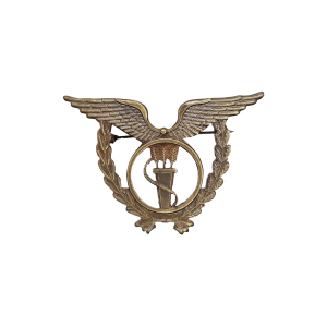 EMBLEMA ESPECIALIDADE FORÇA AÉREA -TÉCNICO ABASTECIMENTO EMBLEMA ESPECIALIDADE FORÇA AÉREA -TÉCNICO ABASTECIMENTO