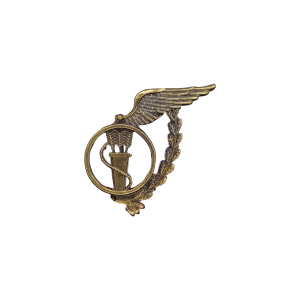 EMBLEMA ESPECIALIDADE FORÇA AÉREA -ALUNO TÉCNICO ABASTECIMENTO EMBLEMA ESPECIALIDADE FORÇA AÉREA -ALUNO TÉCNICO ABASTECIMENTO