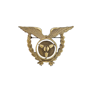 EMBLEMA ESPECIALIDADE FORÇA AÉREA EMBLEMA ESPECIALIDADE FORÇA AÉREA