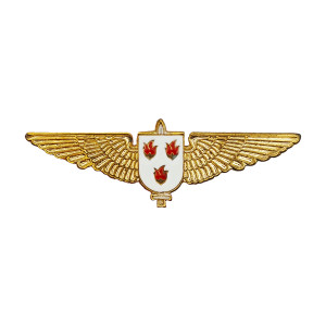 EMBLEMA METAL HELICORDAGEM EMBLEMA METAL HELICORDAGEM