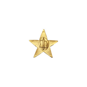 ESTRELA PARA DIVISAS ESTRELA PARA DIVISAS