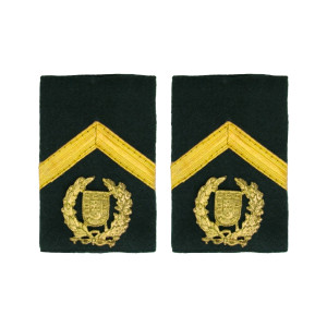 PASSADORES SARGENTO CHEFE GNR PASSADORES SARGENTO CHEFE GNR