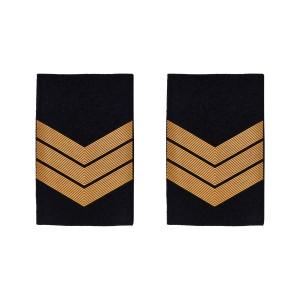 PASSADORES BOMBEIRO 2º CLASSE PASSADORES BOMBEIRO 2º CLASSE