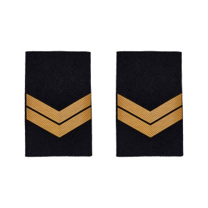 PASSADORES BOMBEIRO 3º CLASSE PASSADORES BOMBEIRO 3º CLASSE