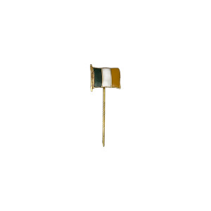 PIN BANDEIRA IRLANDA- LAPELA  PIN BANDEIRA IRLANDA- LAPELA