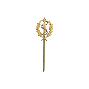 PIN SERVIÇO DE SAÚDE - LAPELA   PIN SERVIÇO DE SAÚDE - LAPELA