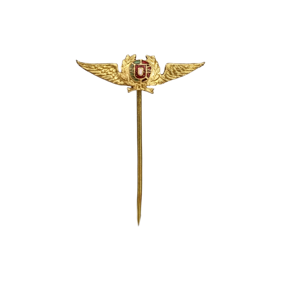 PIN BREVET PILOTO AVIADOR - LAPELA  