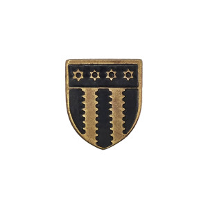 PIN REGIMENTO CAVALARIA Nº4