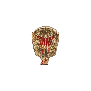 PIN PARAQUEDISTA - GRIFO PIN PARAQUEDISTA - GRIFO