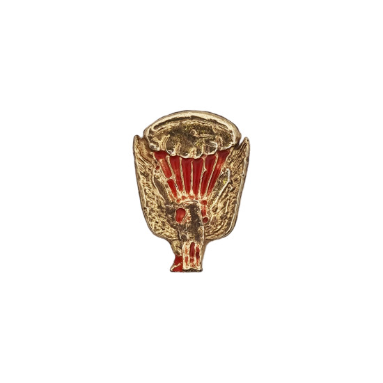 PIN PARAQUEDISTA - GRIFO