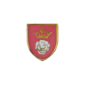 PIN HOSPITAL REGIONAL MILITAR 1 PIN HOSPITAL REGIONAL MILITAR 1