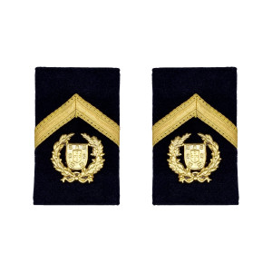 PASSADORES SARGENTO CHEFE EXÉRCITO PASSADORES SARGENTO CHEFE EXÉRCITO