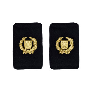PASSADORES SARGENTO AJUDANTE EXÉRCITO PASSADORES SARGENTO AJUDANTE EXÉRCITO